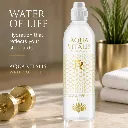 Untitled design (23).webp