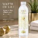 Untitled design (24).webp